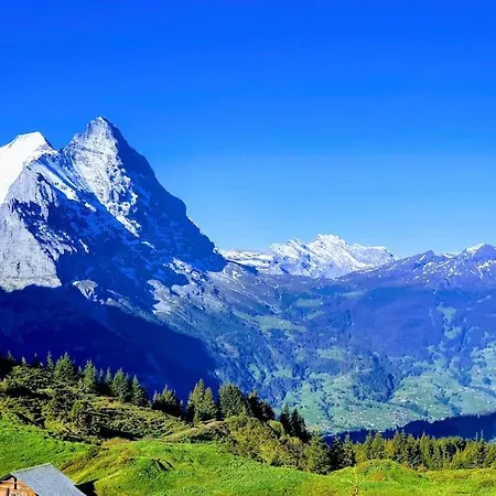 Apartment Bergnest Grindelwald