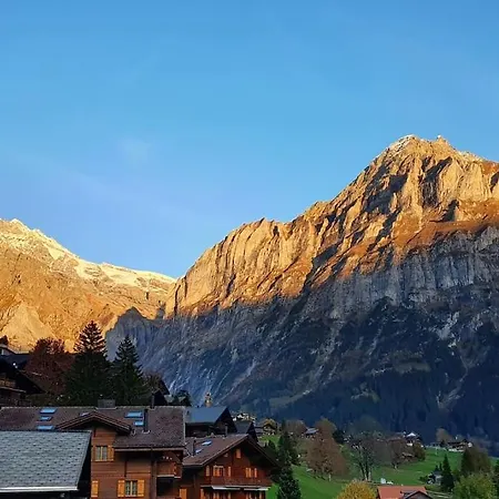 Bergnest *