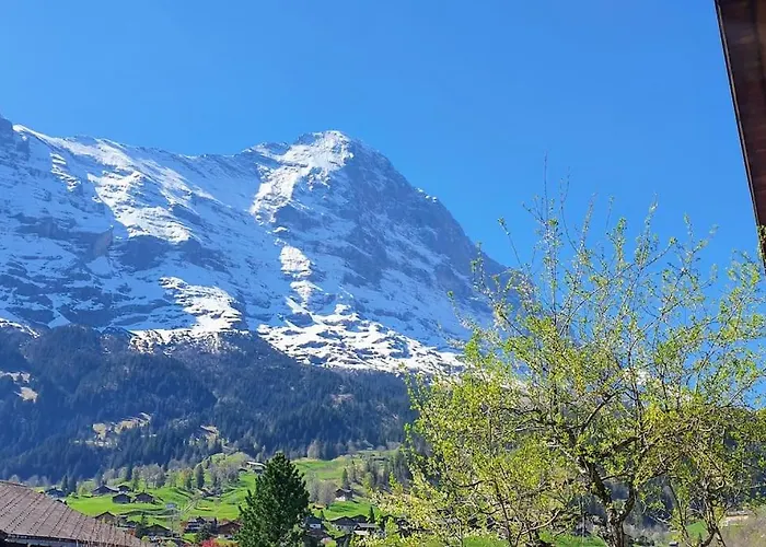 Bergnest Lejlighed Grindelwald
