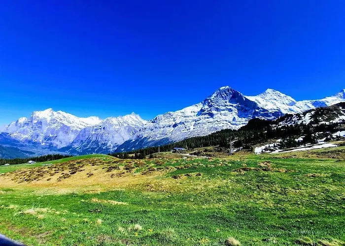 Bergnest Apartamento