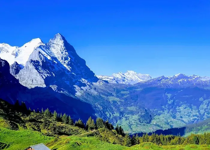 Apartamento Bergnest Grindelwald