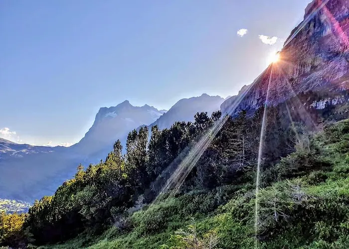 Bergnest * Grindelwald