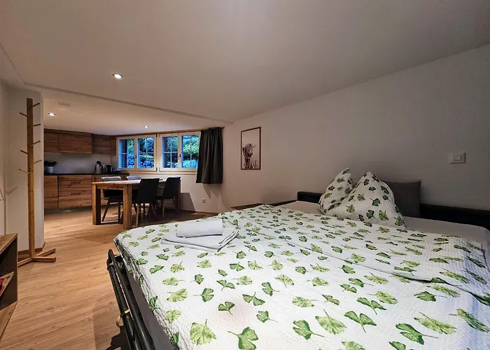 Bergnest Apartamento Grindelwald