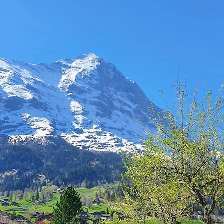 Bergnest Апартаменты Гриндельвальд