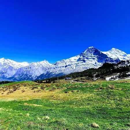 Bergnest Апартаменты