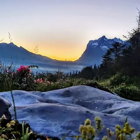 Апартаменты Bergnest Гриндельвальд